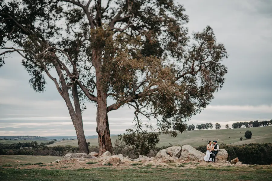 Wide landscape shot of Liv and Ben sitting on granite boulders under a gum tree at Dalmore Farm